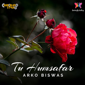 Tu Humsafar