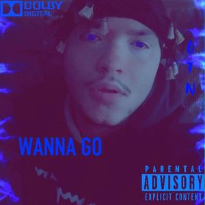 Ŵ À Ń Ń Á Ğ Ǒ (Explicit)