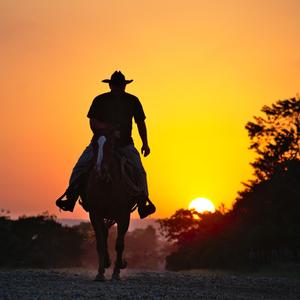 Bad Man(feat. Cole King) (Explicit)