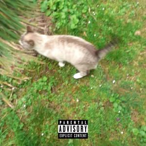 Elena(feat. Masek & Fagi)