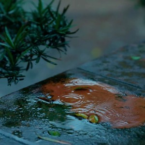 溪水