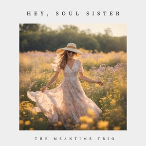Hey, Soul Sister (COVER版)