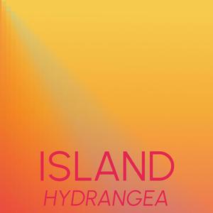 Loor Smie - Island Hydrangea