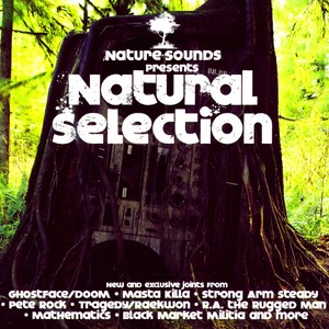 Natural Selection (Explicit)