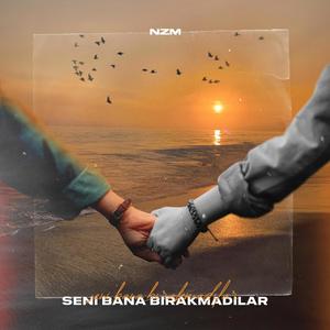 seni bana bırakmadılar (Explicit)