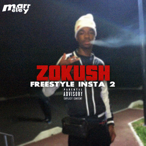 Freestyle Insta 2 (Explicit)