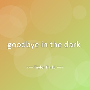 goodbye in the dark