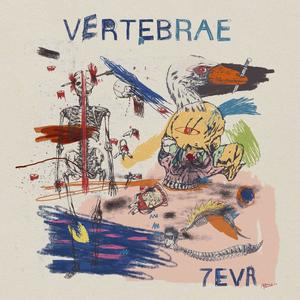 VERTEBRAE (Explicit)