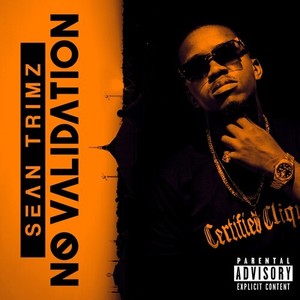 No Validation (Explicit)