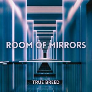 Room of Mirrors