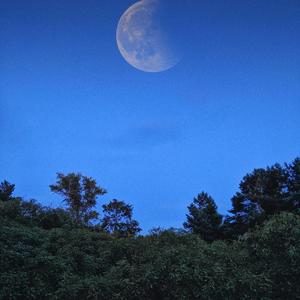 there's no consolation to losing you (feat. Syn Beats)