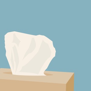 티슈 (TISSUE) (TISSUE)