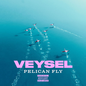 PELICAN FLY (Explicit)