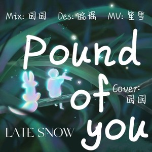 Pound of you