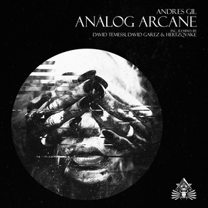Analog Arcane (David Garez & Hertzqvake Remix)