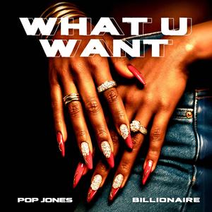 What U Want (feat. Billionaire) (Explicit)