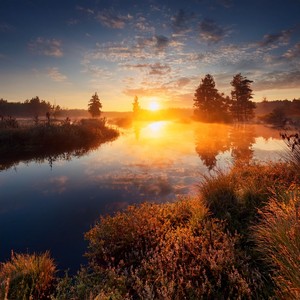 Turning Shadows Into Light One Thought At A Time