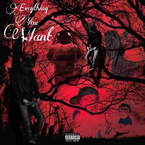 Everything You Want (Explicit)