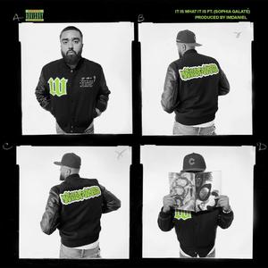 It Is What It Is (feat. Sophia Galate) (Explicit)