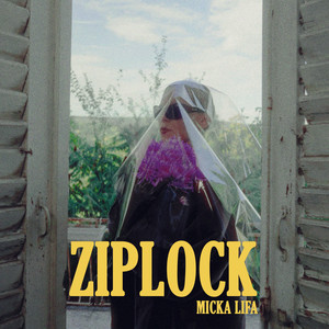 ZIPLOCK (Explicit)