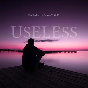 USELESS (feat. Sawdoff Wolf) (Explicit)