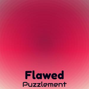 Flawed Puzzlement