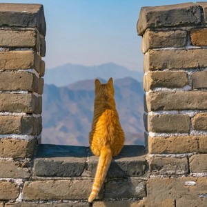 刻在我心底的名字