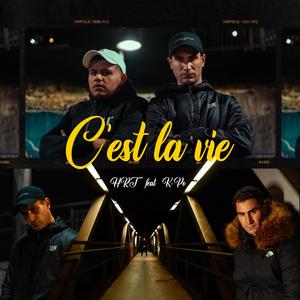 C'est la vie (Explicit)