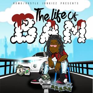 The Life of Bam (Explicit)