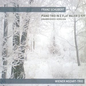 SCHUBERT PIANO TRIO IN E FLAT MAJOR D 929