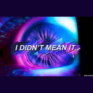 I DIDNT MEAN IT
