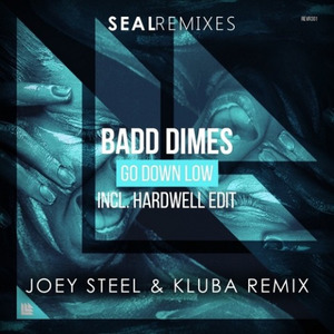 Go Down Low (Joey Steel & Kluba Remix)