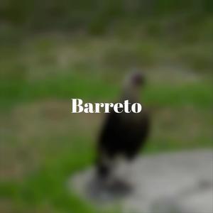 Barreto