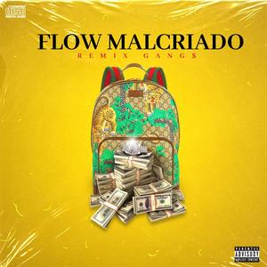Flow Malcriado (feat. Lalo Doble G & J-Garza) (Explicit)