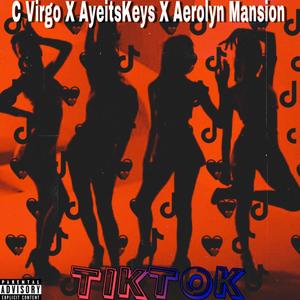 TikTok (feat. AyeitsKeys & Aerolyn Mansion) [Explicit]