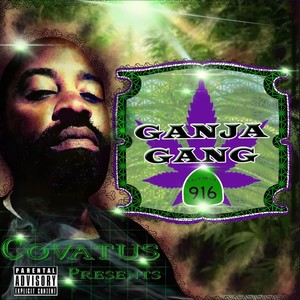 Ganja Gang 916 (Explicit)