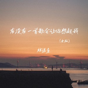 有没有一首歌会让你想起我 (DJ彭锐版)