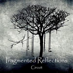 Fragmented Reflections