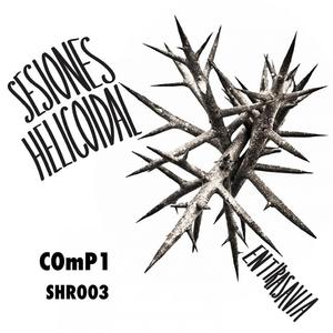 SH#1 (19 de noviembre de 2021)