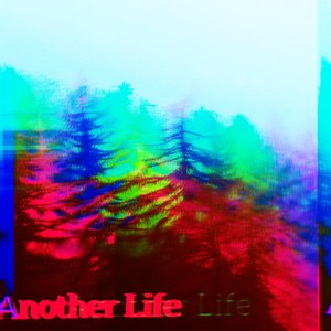 Another Life