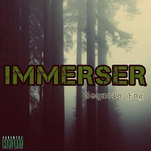 Sequoia Fog (Explicit)