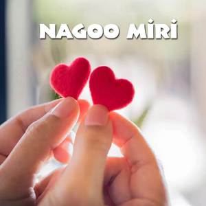 Nagoo Miri (2012 Edition)