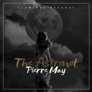 The Astronot
