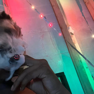 Up da sco (Explicit)