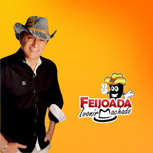 Coração de Passarinho (Ao Vivo)