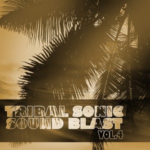 Tribal Sonic Soundblast,Vol.4