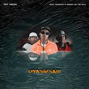 Uyashisa(feat. Nandos & Ndash MC)