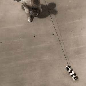 あるかない feat. ryo nakamura