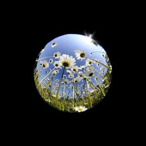 i tried (feat. KAZII) (Explicit)