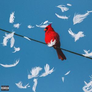 My Kills Nice, Pt. II (feat. MarQ-Sky) (Explicit)